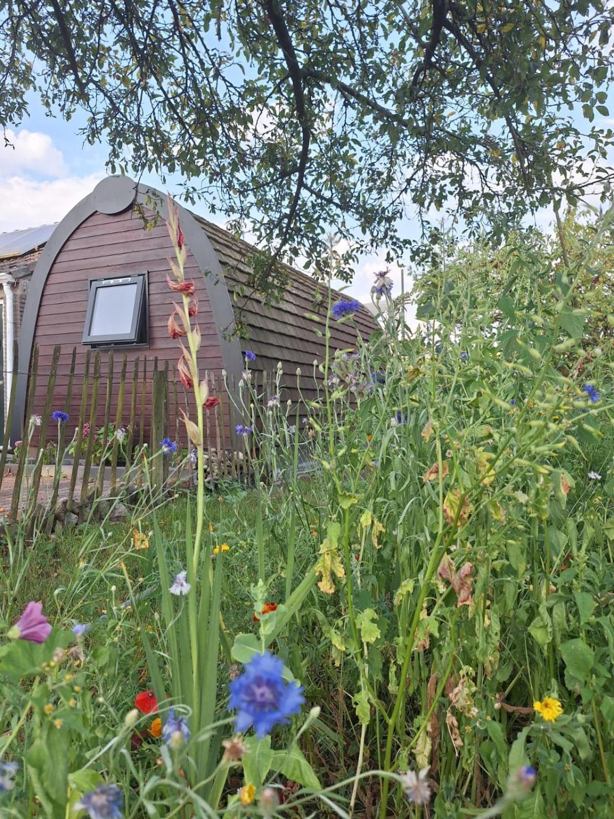 Swifterlodge Kerkenveld Екстер'єр фото